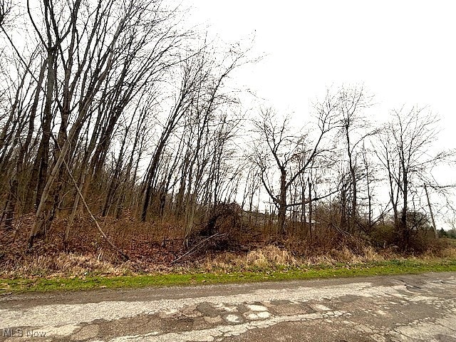 1250 Way Rd, Rome, OH 44085 - photo 5