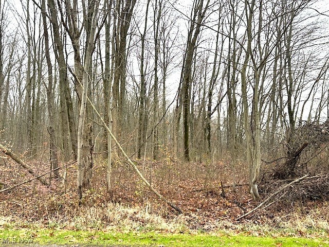 1250 Way Rd, Rome, OH 44085 - photo 6