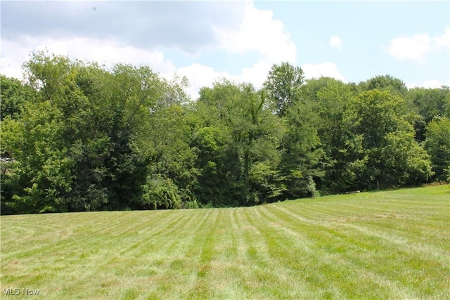 131 Mill St, Burbank, OH 44214 - photo 39