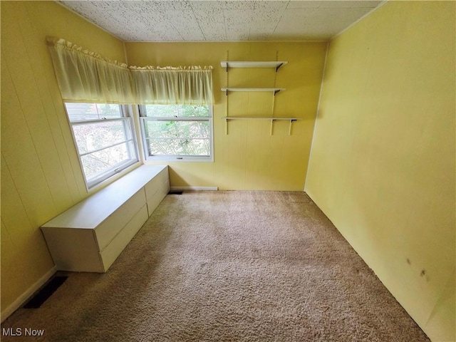 119 Forest Hill Dr, Amherst, OH 44001 - photo 22