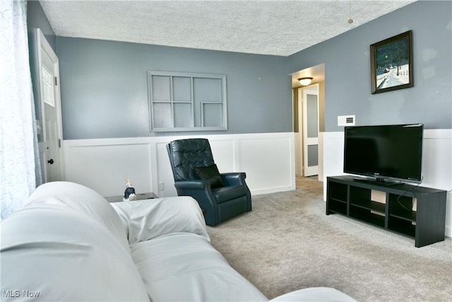 33 Mcdonald Ave, Niles, OH 44446 - carpeted living room featuring a textured ceiling, wainscoting, and a decorative wall