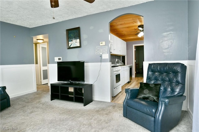 33 Mcdonald Ave, Niles, OH 44446 - living area with ceiling fan, wood ceiling, light colored carpet, arched walkways, and a textured ceiling