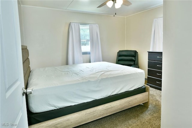 33 Mcdonald Ave, Niles, OH 44446 - bedroom featuring carpet, ornamental molding, and a ceiling fan