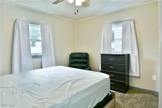 33 Mcdonald Ave, Niles, OH 44446 - bedroom with crown molding, carpet, and a ceiling fan