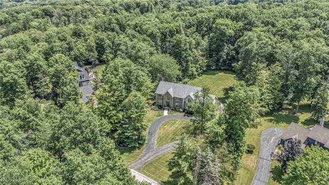 103 Champion Ln, Chagrin Falls, OH 44022 - photo 4