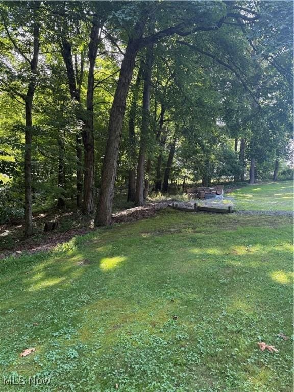 50518 Rodaman, East Liverpool, OH 43920 - photo 7