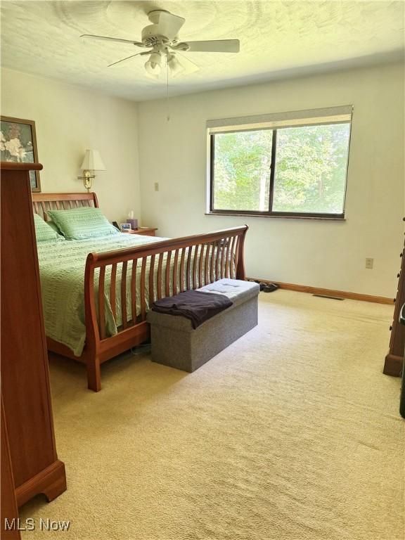 50518 Rodaman, East Liverpool, OH 43920 - photo 20