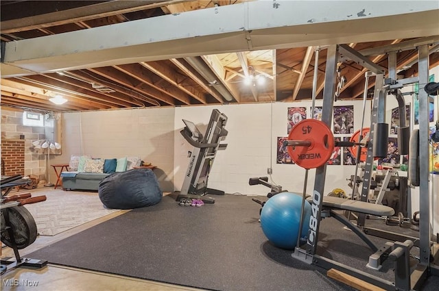 593 Mardon Ave, Akron, OH 44303 - view of workout area