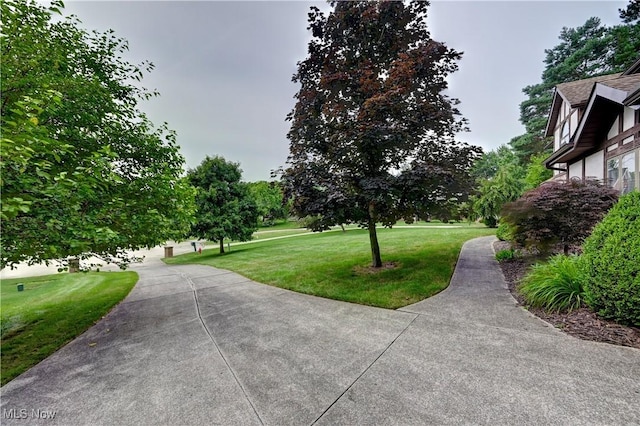 2481 Parkridge Dr, Hinckley, OH 44233 - photo 41