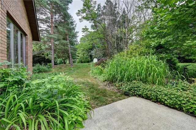 2481 Parkridge Dr, Hinckley, OH 44233 - photo 46