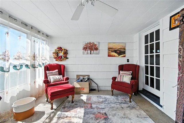 4221 2nd St NW, Canton, OH 44708 - living area featuring a ceiling fan and carpet flooring