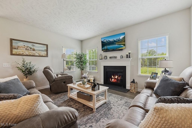 2014 Sugar Maple Dr, Kent, OH 44240 - living area featuring wood finished floors, a textured ceiling, and a glass covered fireplace