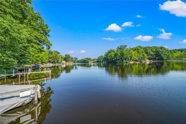 2317 Morning Star Dr, Roaming Shores, OH 44084 - photo 8