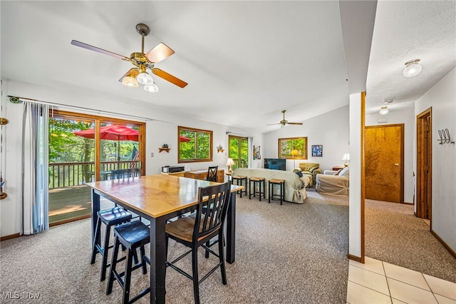 2317 Morning Star Dr, Roaming Shores, OH 44084 - photo 25