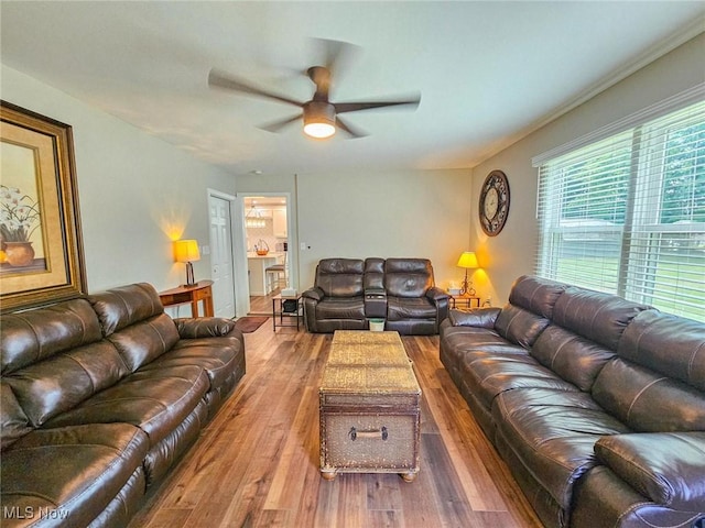 523 Janet Dr, Canfield, OH 44406 - photo 7