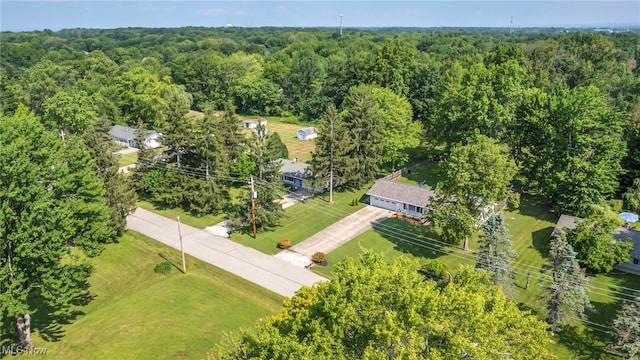 2061 Garden Ln, Hudson, OH 44236 - bird's eye view of a forest