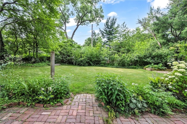 23580 Shaker Blvd, Shaker Heights, OH 44122 - photo 27