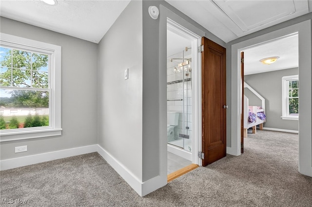 3905 Greenwich Rd, Norton, OH 44203 - corridor with carpet flooring and baseboards