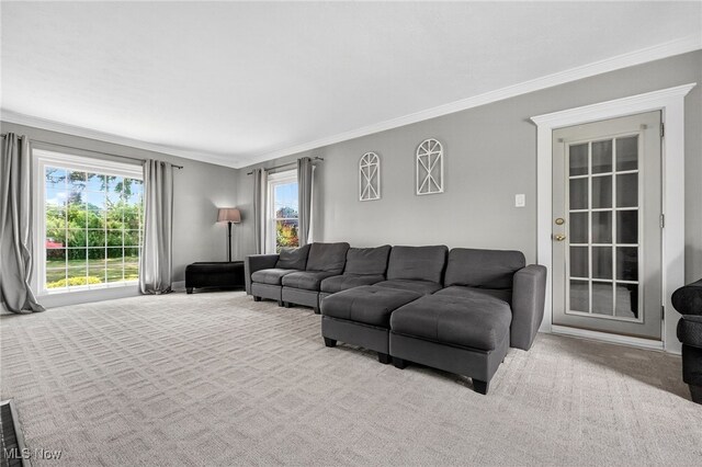 3905 Greenwich Rd, Norton, OH 44203 - carpeted living room featuring crown molding