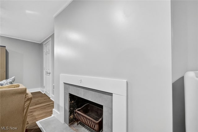 3905 Greenwich Rd, Norton, OH 44203 - detailed view of wood finished floors and a fireplace