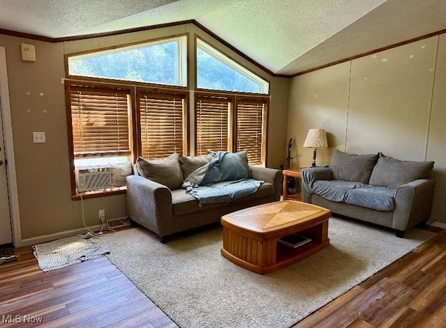 1711 Hardins Run Rd, New Cumberland, WV 26047 - living room featuring wood finished floors, a textured ceiling, lofted ceiling, plenty of natural light, and ornamental molding