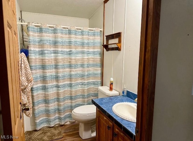 1711 Hardins Run Rd, New Cumberland, WV 26047 - full bathroom with vanity, wood finished floors, and a shower with curtain