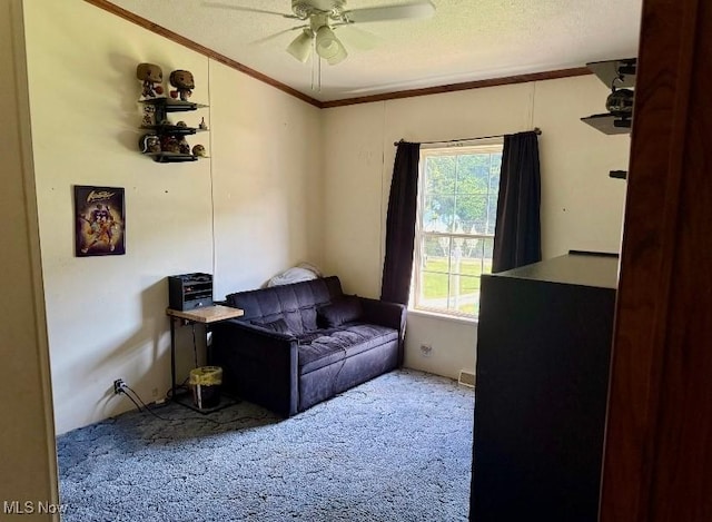 1711 Hardins Run Rd, New Cumberland, WV 26047 - carpeted bedroom featuring crown molding, a ceiling fan, and a textured ceiling
