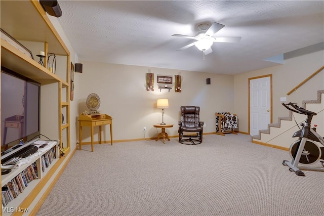 2939 Sandhill Rd, Marietta, OH 45750 - exercise room with ceiling fan and carpet