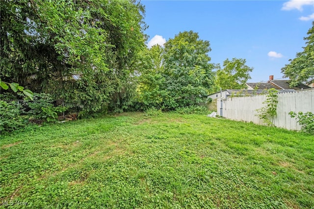 6202 Heisley Ave, Cleveland, OH 44105 - photo 45