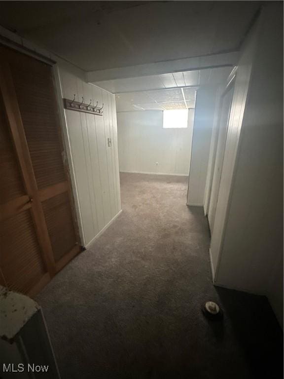 1012 Chandler Ave, Akron, OH 44314 - hallway with carpet floors