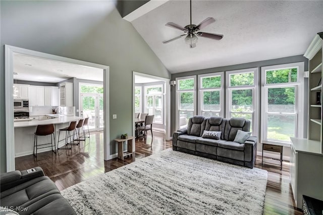 18367 Cranberry Ridge Ln, Chagrin Falls, OH 44023 - living room featuring ceiling fan, high vaulted ceiling, and dark wood finished floors