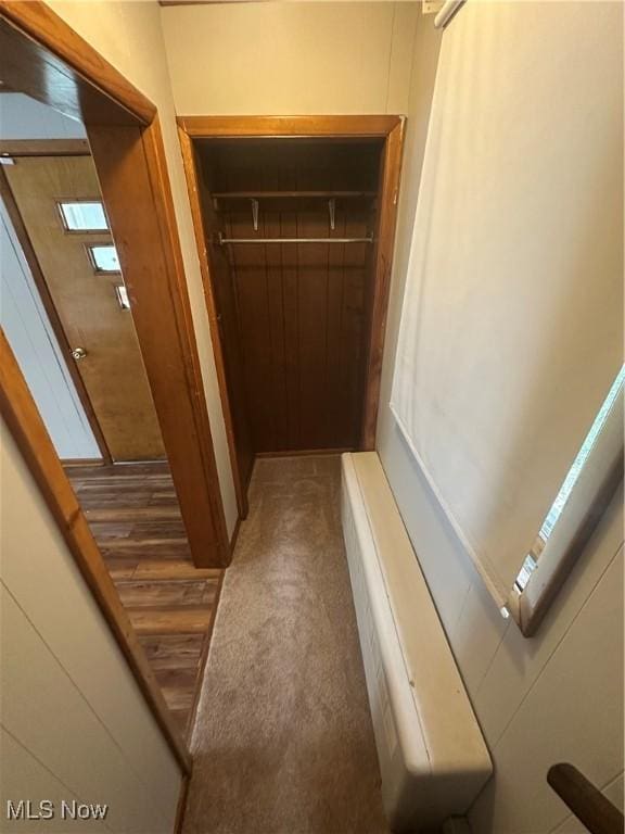 600 Jeanette Ave, Martins Ferry, OH 43935 - view of closet