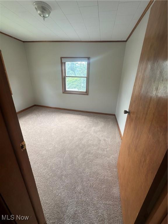 600 Jeanette Ave, Martins Ferry, OH 43935 - carpeted empty room with crown molding