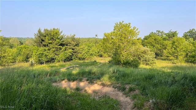 4300 Mechanicsburg Rd, Wooster, OH 44691 - photo 21