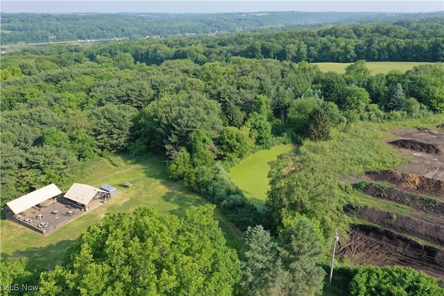 4300 Mechanicsburg Rd, Wooster, OH 44691 - photo 22