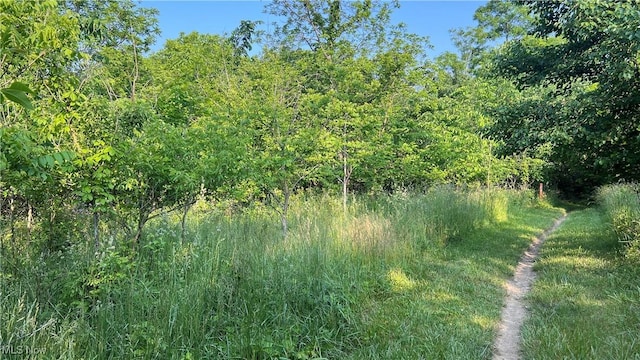 4300 Mechanicsburg Rd, Wooster, OH 44691 - photo 8