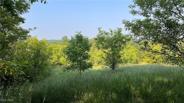 4300 Mechanicsburg Rd, Wooster, OH 44691 - photo 1