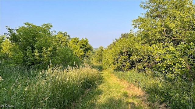 4300 Mechanicsburg Rd, Wooster, OH 44691 - photo 4