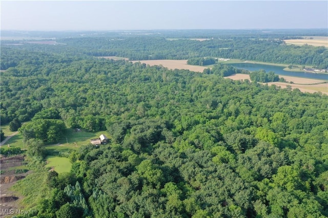 4300 Mechanicsburg Rd, Wooster, OH 44691 - photo 25