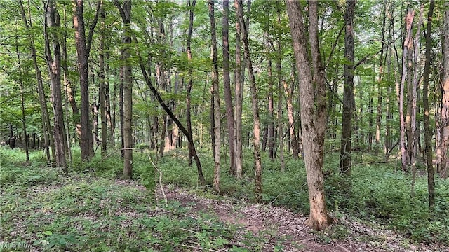 4300 Mechanicsburg Rd, Wooster, OH 44691 - photo 16