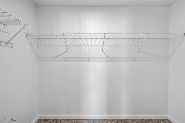 301 Karson Dr, Akron, OH 44312 - walk in closet with carpet floors