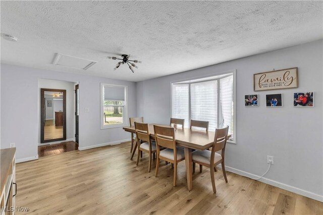 729 Kenilworth Ave, Sheffield Lake, OH 44054 - photo 5