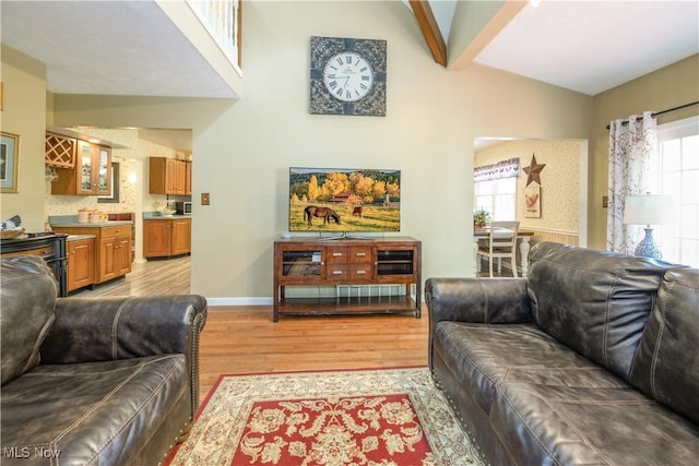 3043 E Wallings Rd, Broadview Heights, OH 44147 - living area featuring light wood-style floors and vaulted ceiling