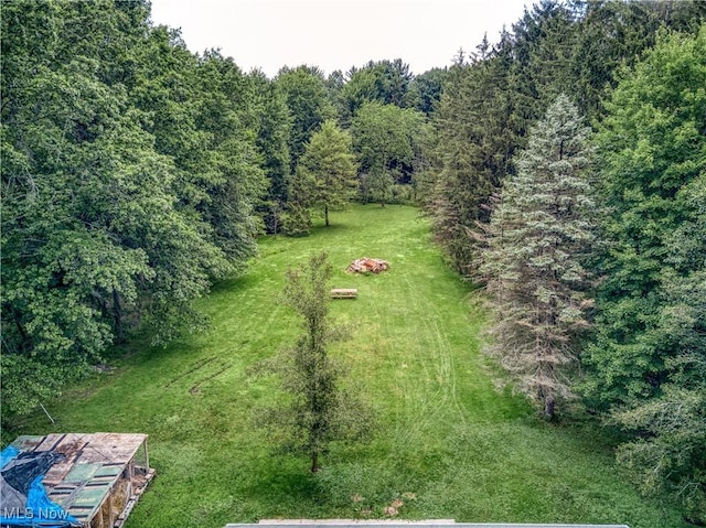 3043 E Wallings Rd, Broadview Heights, OH 44147 - aerial view of a forest
