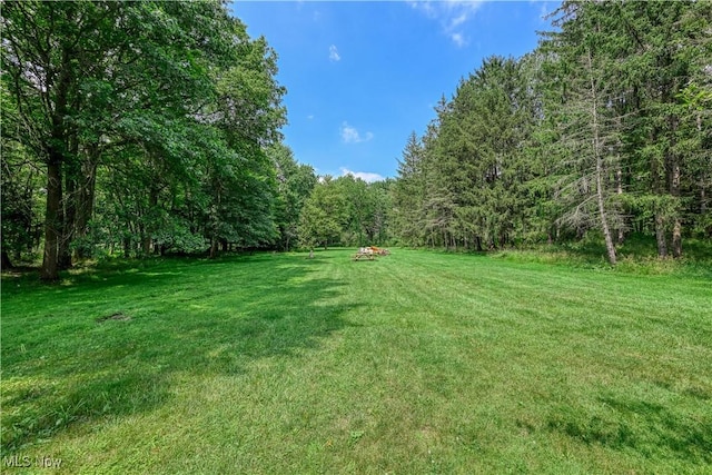 3043 E Wallings Rd, Broadview Heights, OH 44147 - view of green lawn featuring a forest view