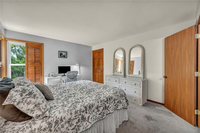 255 Portage Lakes Dr Unit E, Akron, OH 44319 - view of carpeted bedroom