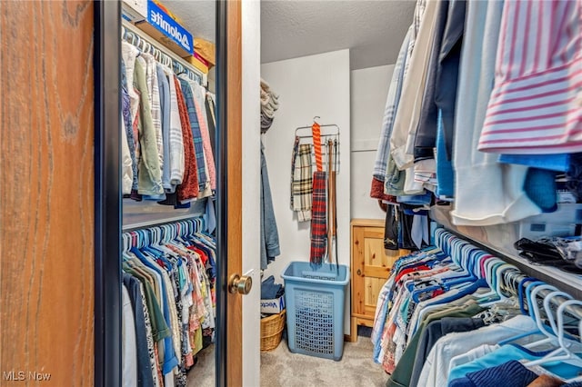 255 Portage Lakes Dr Unit E, Akron, OH 44319 - walk in closet with carpet floors