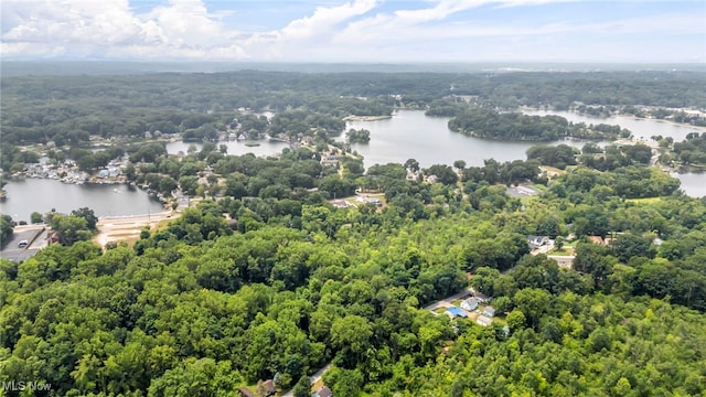 255 Portage Lakes Dr Unit E, Akron, OH 44319 - bird's eye view of a large body of water