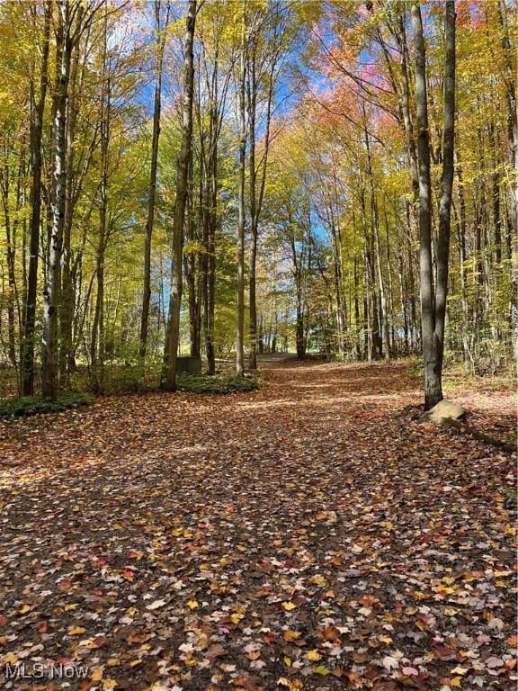 5644 Hurlburt Rd, Rome, OH 44085 - photo 33