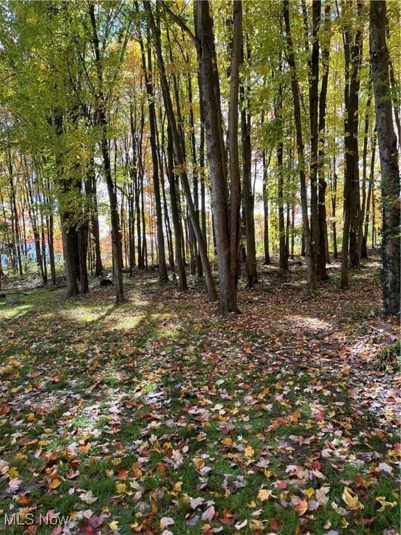 5644 Hurlburt Rd, Rome, OH 44085 - photo 35